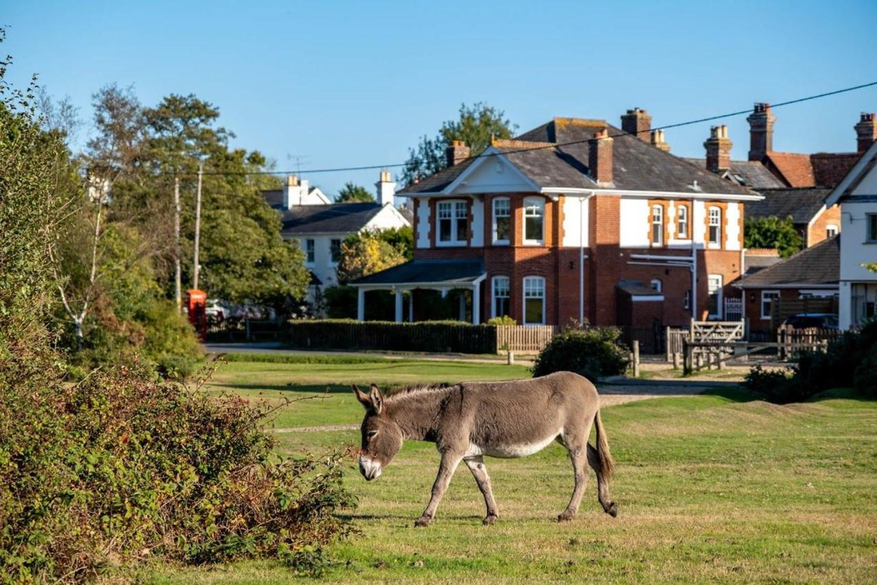 Surrey Lodge Brockenhurst Kültér fotó