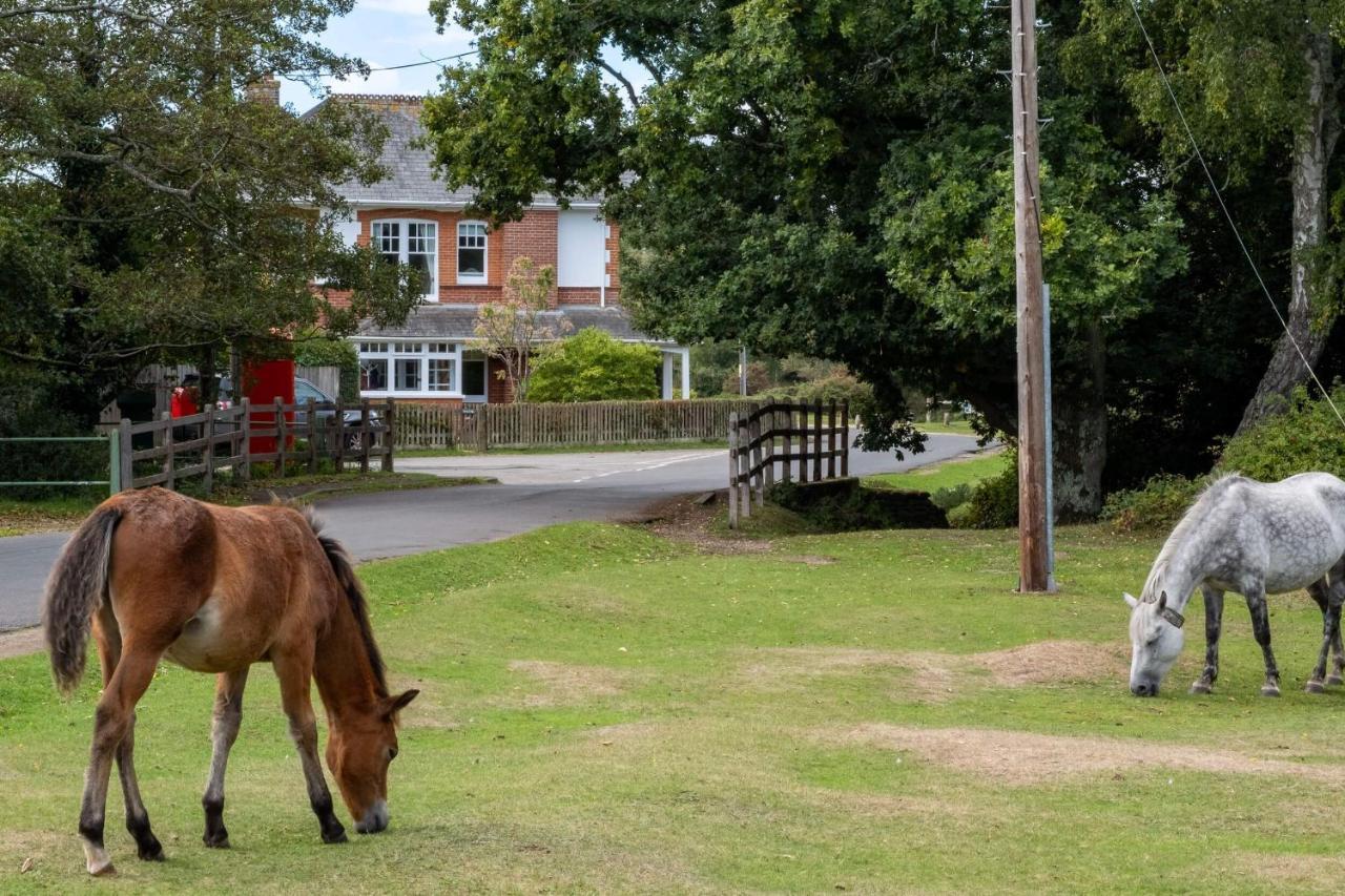 Surrey Lodge Brockenhurst Kültér fotó